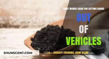 Freshening Up Your Ride: Effective Tips for Eliminating Vehicle Odors