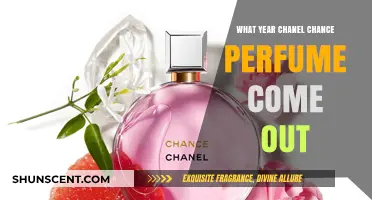Chanel Chance Perfume Launch Year: A Scent's Timeless Journey