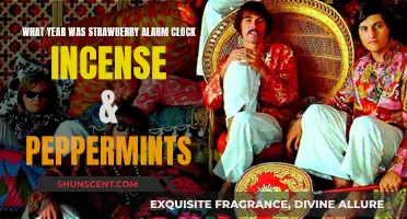 Strawberry Alarm Clock's Incense & Peppermints: A 60s Flashback