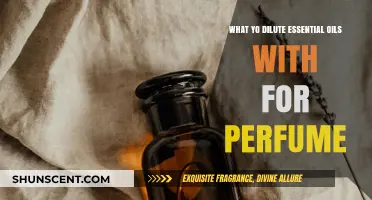 Perfect Perfume Blends: Best Carrier Oils to Dilute Essential Oils