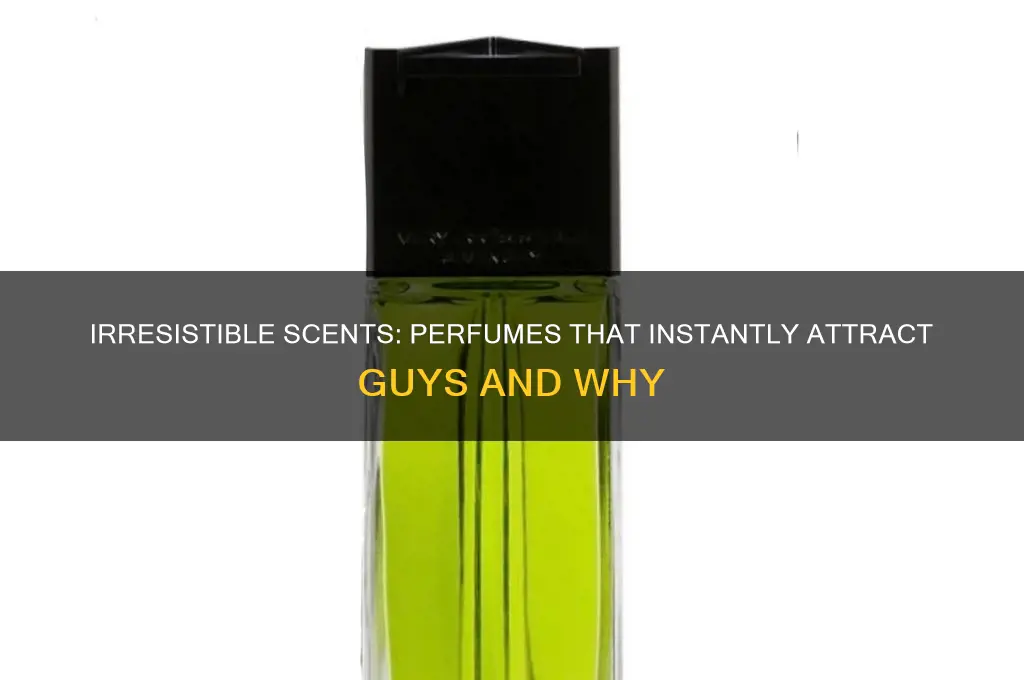 what your perfume attracts guys the most