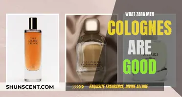 Best Zara Men's Colognes: A Definitive Guide