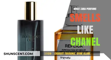 Zara Scents That Rival Chanel Fragrances