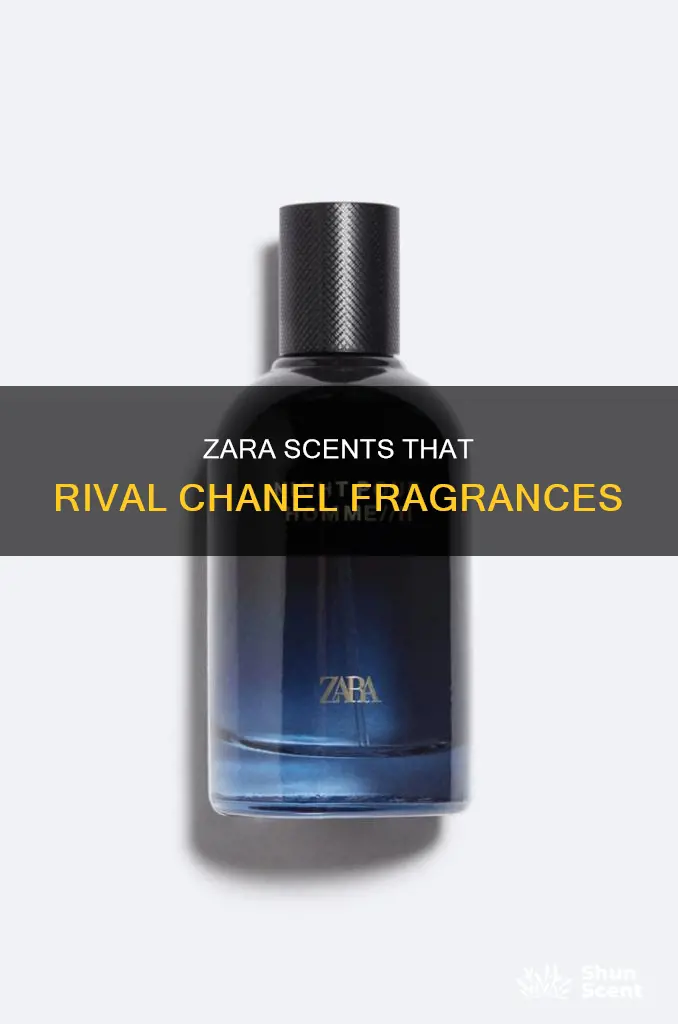 what zara perfume smells like chanel