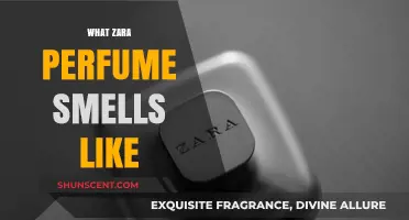 Zara Perfume: Discover the Scents and Fragrances