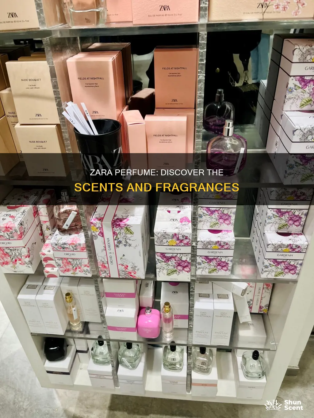 what zara perfume smells like