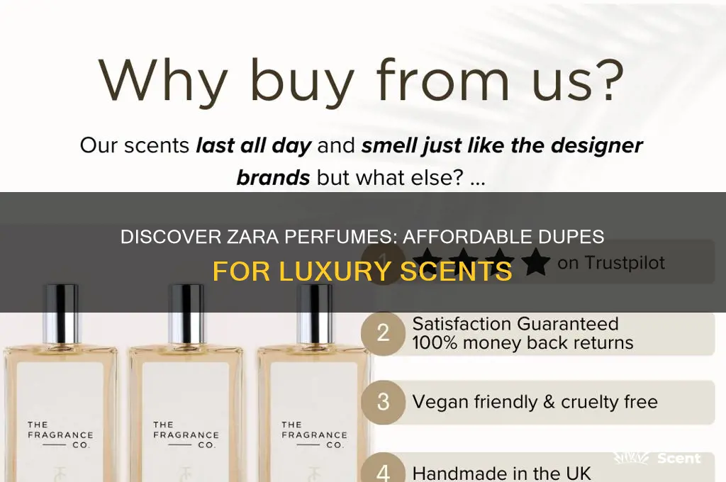 what zara perfumes are dupes