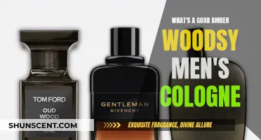 Discover the Best Amber Woodsy Colognes for Men