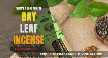 The Magic of Bay Leaf Incense: A Fragrant Blend