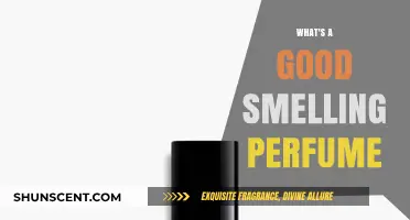 Choosing a Perfume: The Art of Smelling Good