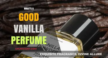 Discover the Best Vanilla Perfumes for a Sweet, Warm Scent