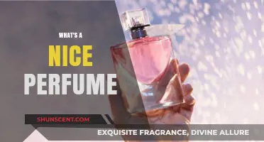 Discovering the Perfect Scent: What Makes a Nice Perfume?