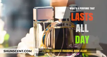 Discover Long-Lasting Perfumes: All-Day Scents That Never Fade Away