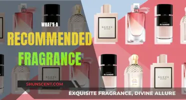 Finding a Signature Scent: Fragrance Recommendations