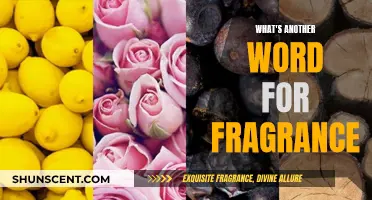 Exploring Synonyms for Fragrance: A Scented Journey