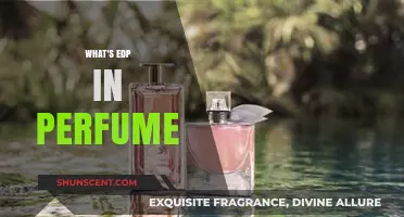 Understanding EDP in Perfumes: Meaning, Benefits, and Usage Explained