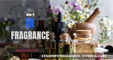 The Mystery of Fragrance: Unveiling the Notes and Secrets