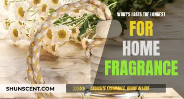 The Best Long-Lasting Home Fragrances and How They Work