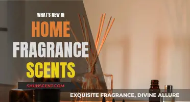 Fresh Scents: New Trends in Home Fragrance