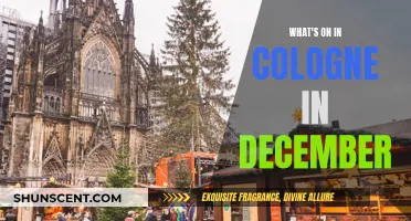 Cologne's December Events: A Festive Guide to the City