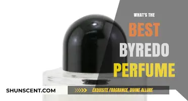 Discover the Ultimate Byredo Scent: Top Picks and Reviews