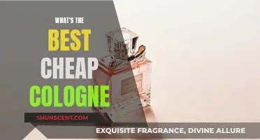 Affordable Scents: Finding the Best Cheap Cologne