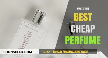 Affordable Fragrance Finds: Discover the Best Cheap Perfumes