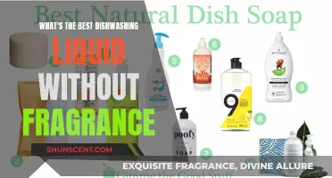 Best Unscented Dishwashing Liquids to Keep Your Kitchen Odor-Free