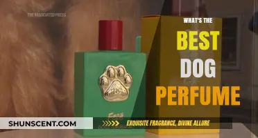 Top Dog Perfumes: Fresh, Safe, and Paw-fect Scents for Your Pup