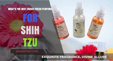 Top Shih Tzu Doggy Fresh Perfumes: Best Scents for Your Pup