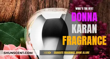 Donna Karan Fragrances: The Best Scents for You