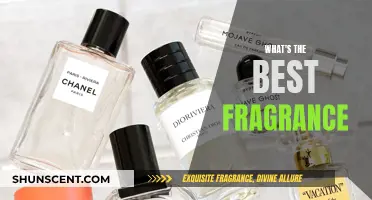 Finding the Perfect Scent: A Guide to Fragrances