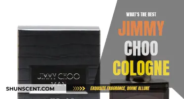 The Alluring Scent of Jimmy Choo's Best Colognes