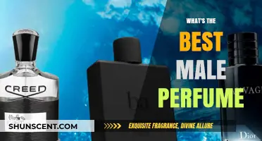 Discover the Ultimate Male Fragrance: Top Perfumes for Men