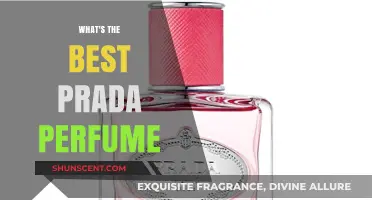 Discover the Best Prada Perfume: A Scent for Every Occasion