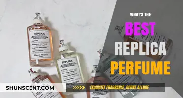 Discover the Top Replica Perfumes: Affordable Luxury Scents Compared