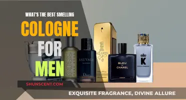 The Most Irresistible Scents: Colognes for Men