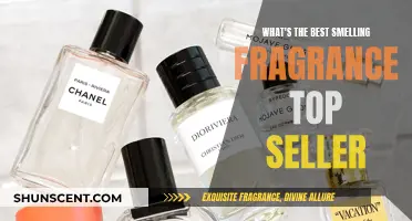 The Best-Smelling Fragrances: Top-Selling Scents