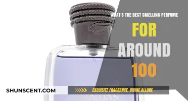 Affordable Scents: Best Perfumes Under $100