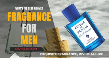 The Ultimate Summer Fragrance Guide for Men