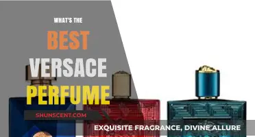 Discover the Best Versace Perfume: A Luxurious Scent Guide