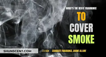 Masking Smoke: Choosing the Right Fragrance to Disguise It