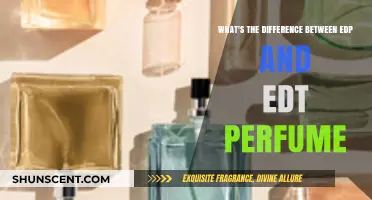 EDP vs EDT: Understanding Perfume Concentrations and Longevity