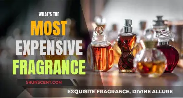 The World's Priciest Scents: Fragrances Worth a Fortune