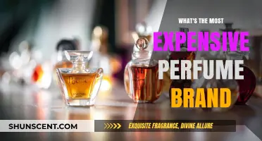 Luxury Scents: Discovering the World's Priciest Perfume Brands