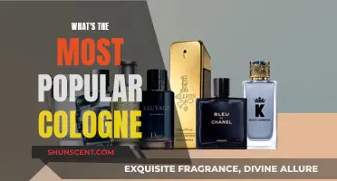 The Most Coveted Scents: Top Colognes for Men