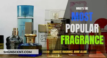 The Most Coveted Scents: Exploring Popular Fragrances