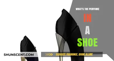 Unveiling the Scent Mystery: What's the Perfume in a Shoe?