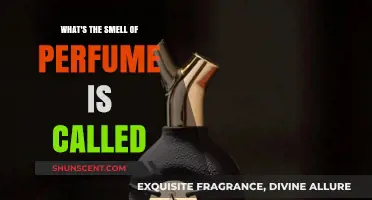 The Fragrance of Perfume: What's It Called?