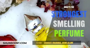 Powerful Scents: Strongest Perfumes for Women